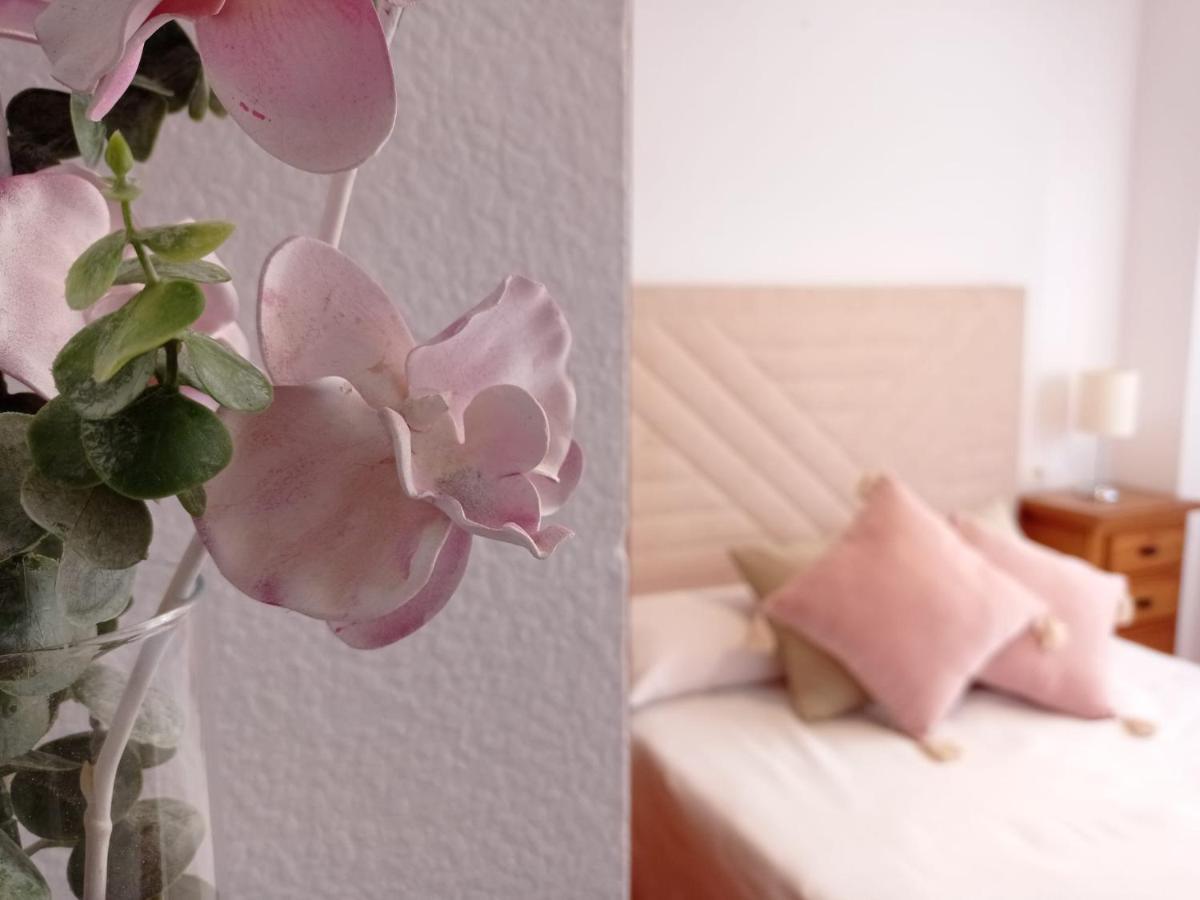 La Joya Apartment ตอร์เรนูเอวา ภายนอก รูปภาพ